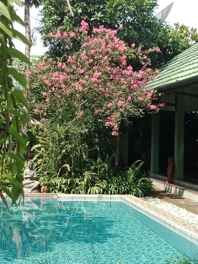 Rumah Sawah Ngabean Bagian luar foto